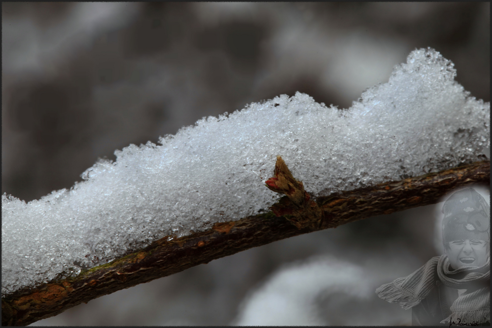 Schnee in Reinwald's Garten