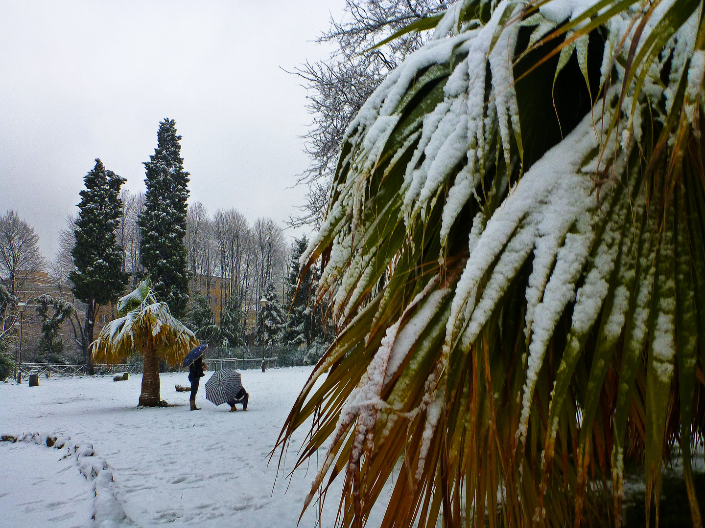 Schnee in Rom