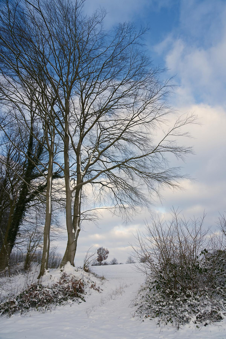 Schnee in Schleswig-Holstein