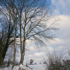 Schnee in Schleswig-Holstein