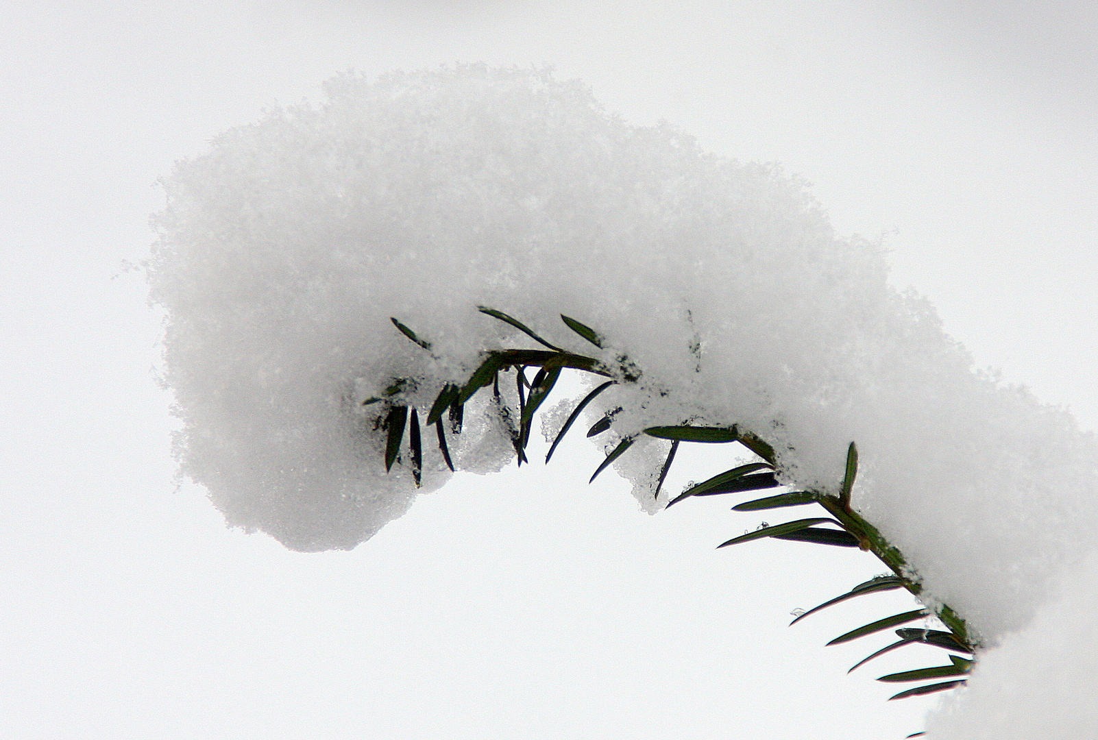 Schnee in Schnee...