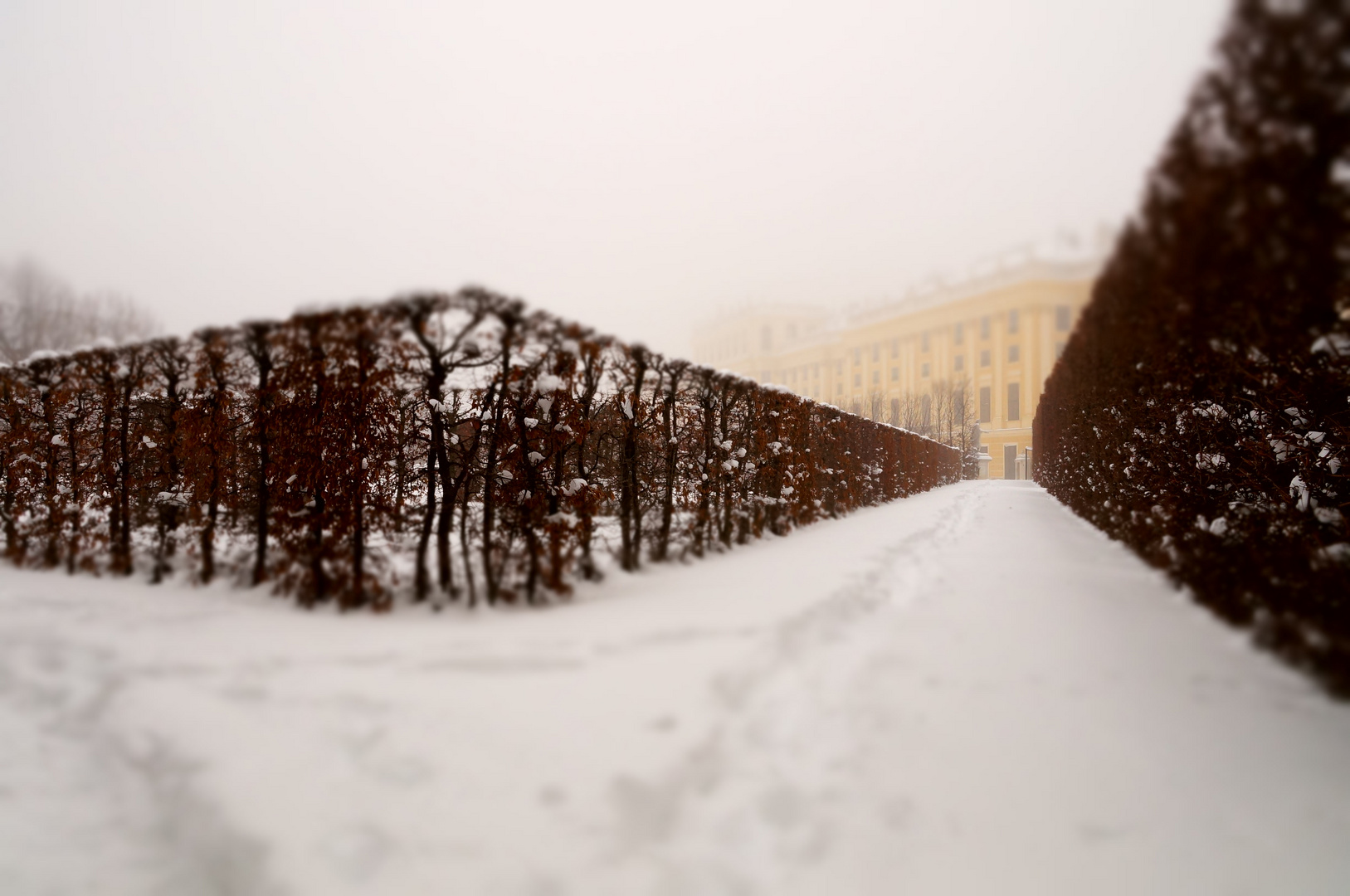 Schnee in Schönbrunn