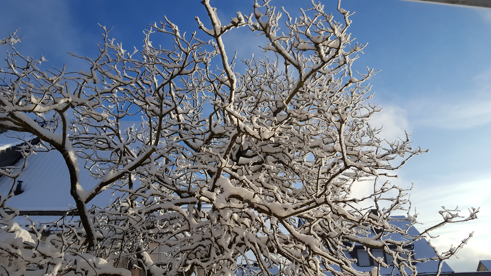 Schnee in Schwarzenbach