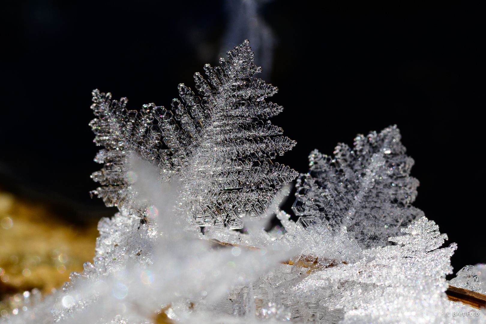 Schnee in seiner schönsten Form