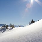 Schnee in Tirol