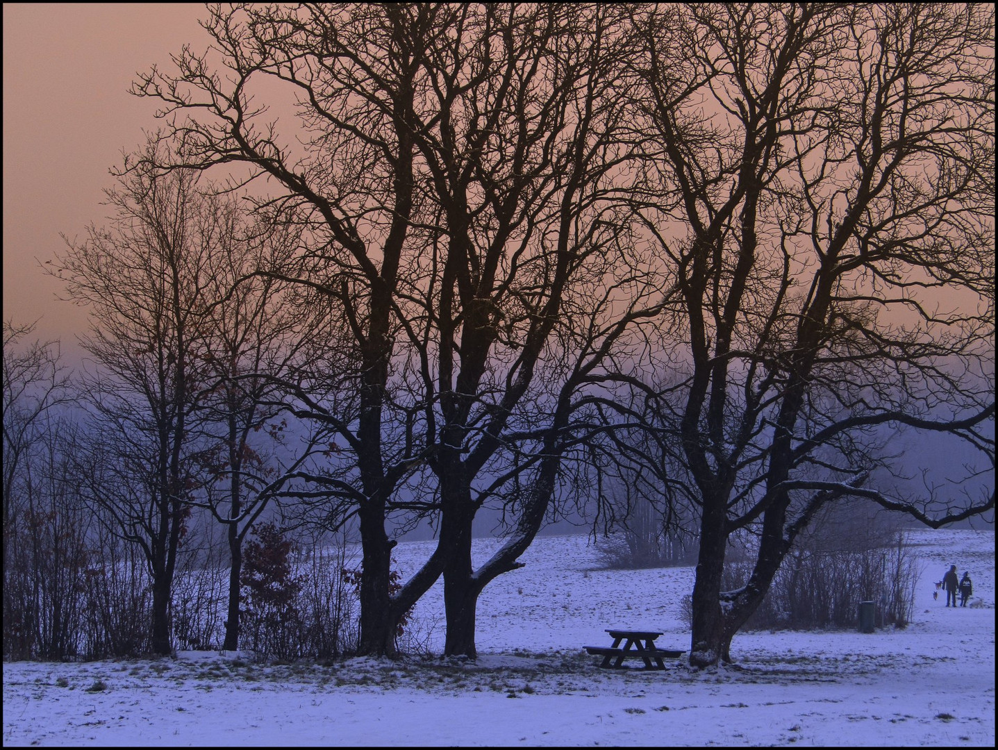 Schnee in Wienerwald