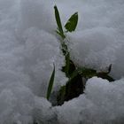 Schnee in Wuppertal