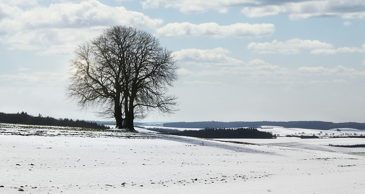 Schnee Intermezzo