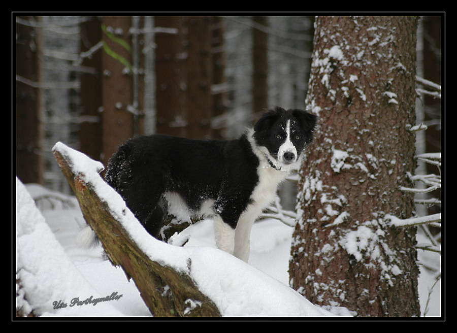 Schnee ist doch einfach super!!!