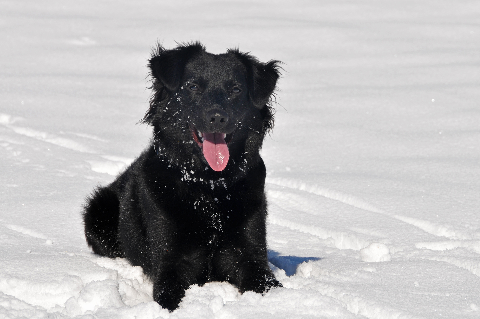 Schnee ist einfach schööööön