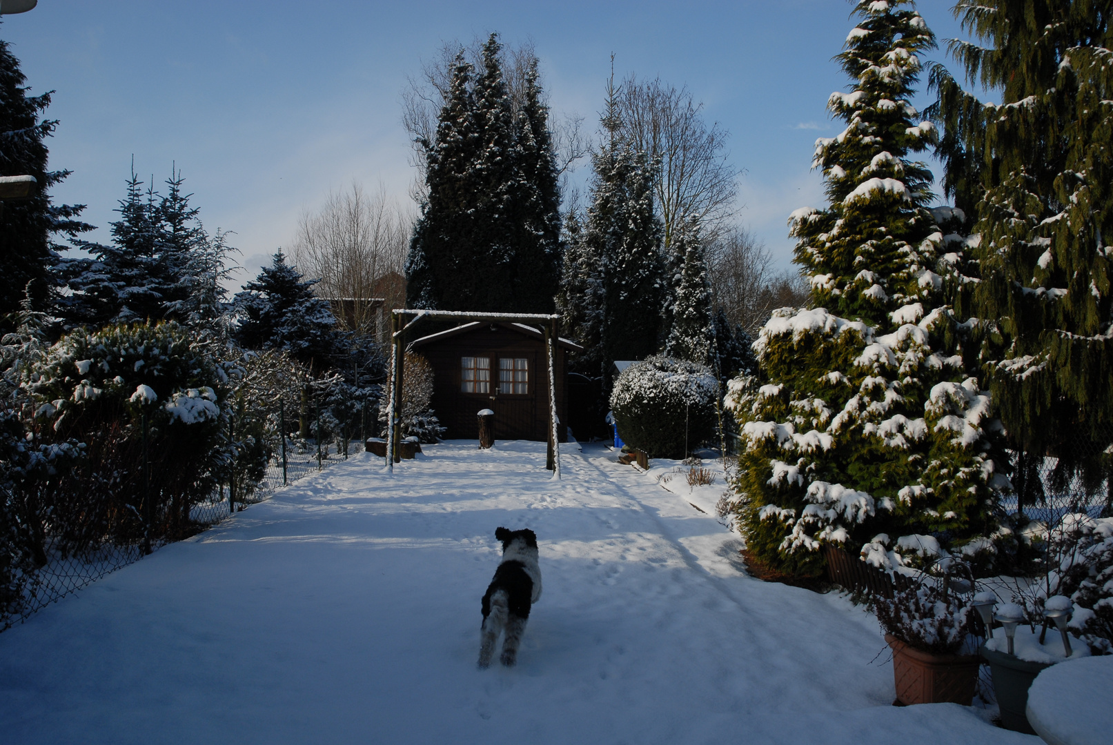 schnee ist für alle da