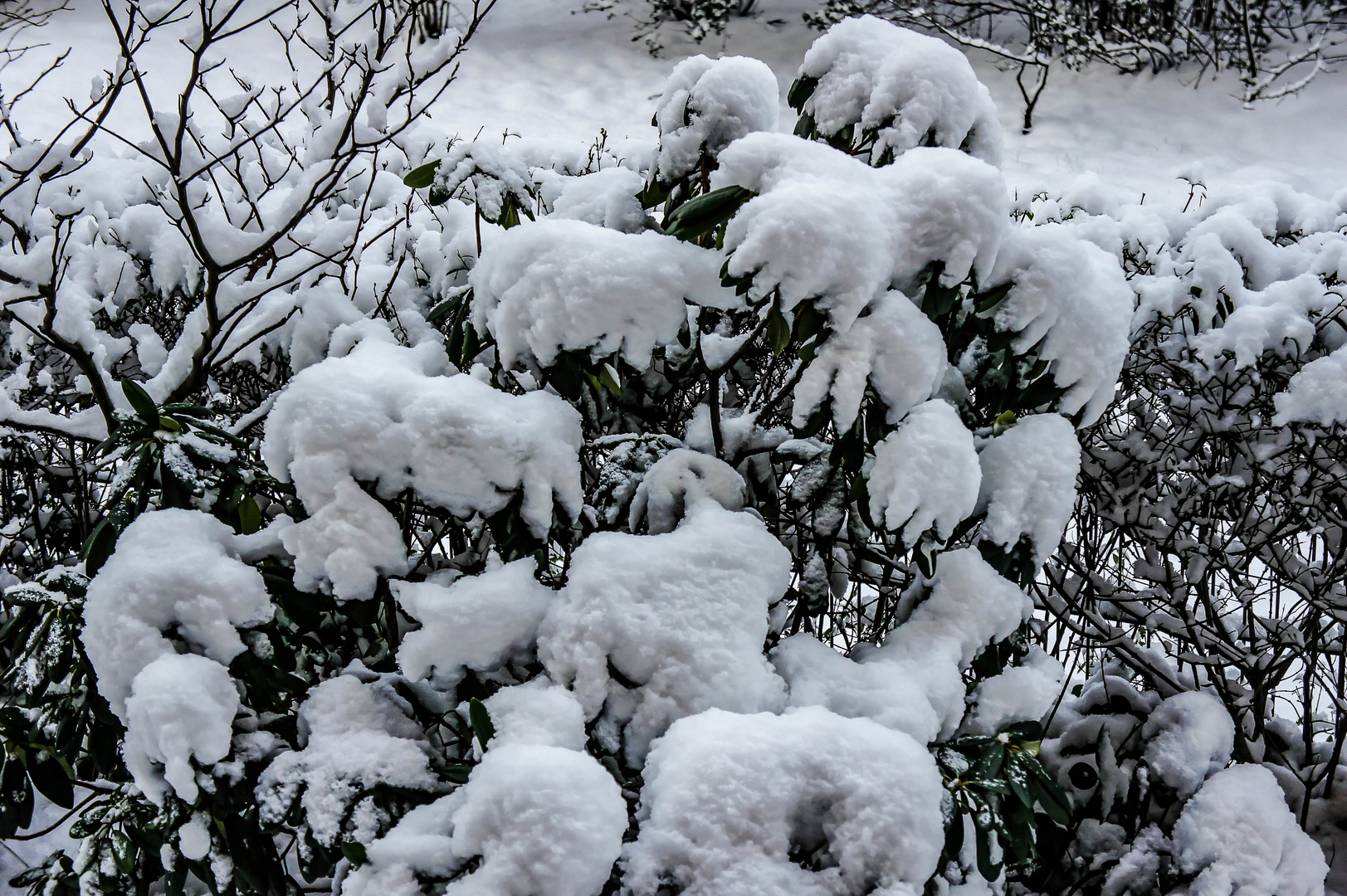  Schnee ist in Hamburg angekommen ...