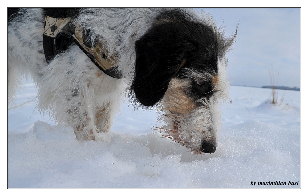 Schnee ist klasse