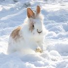 Schnee ist schön