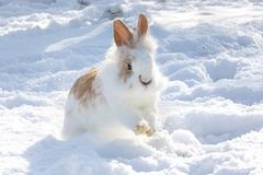 Schnee ist schön