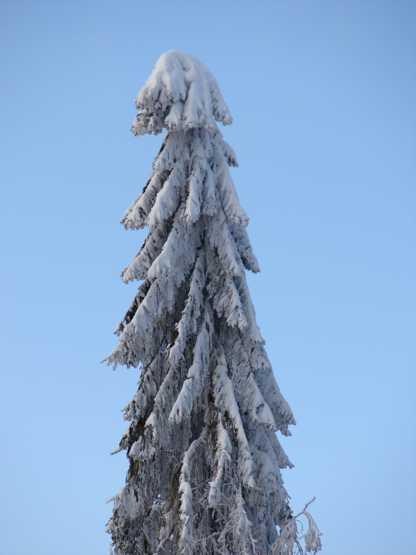 schnee ist schön