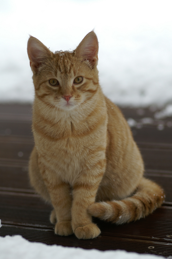 Schnee ist so schön