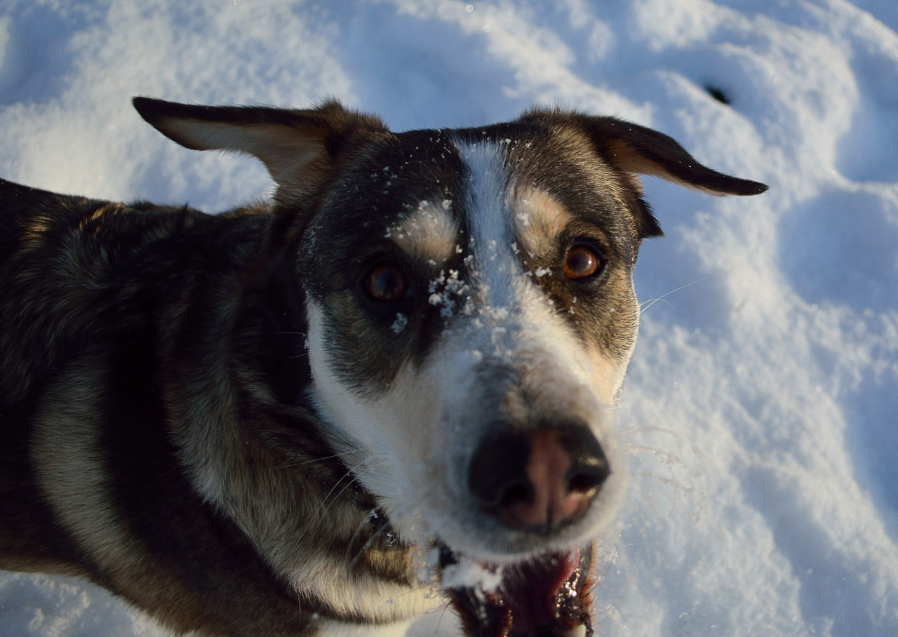 Schnee ist so toll