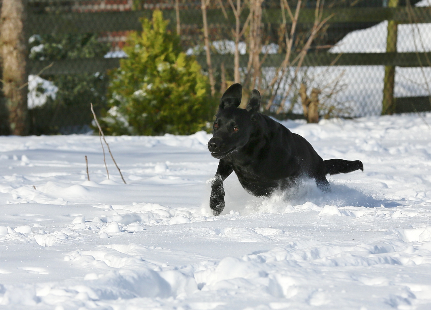 Schnee ist toll