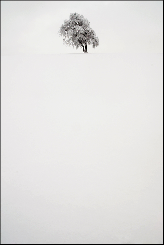 Schnee ist weiß