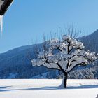 Schnee, Kälte, Sonne, Weißblau