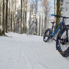 Schnee + Kalt = Fatbikezeit 