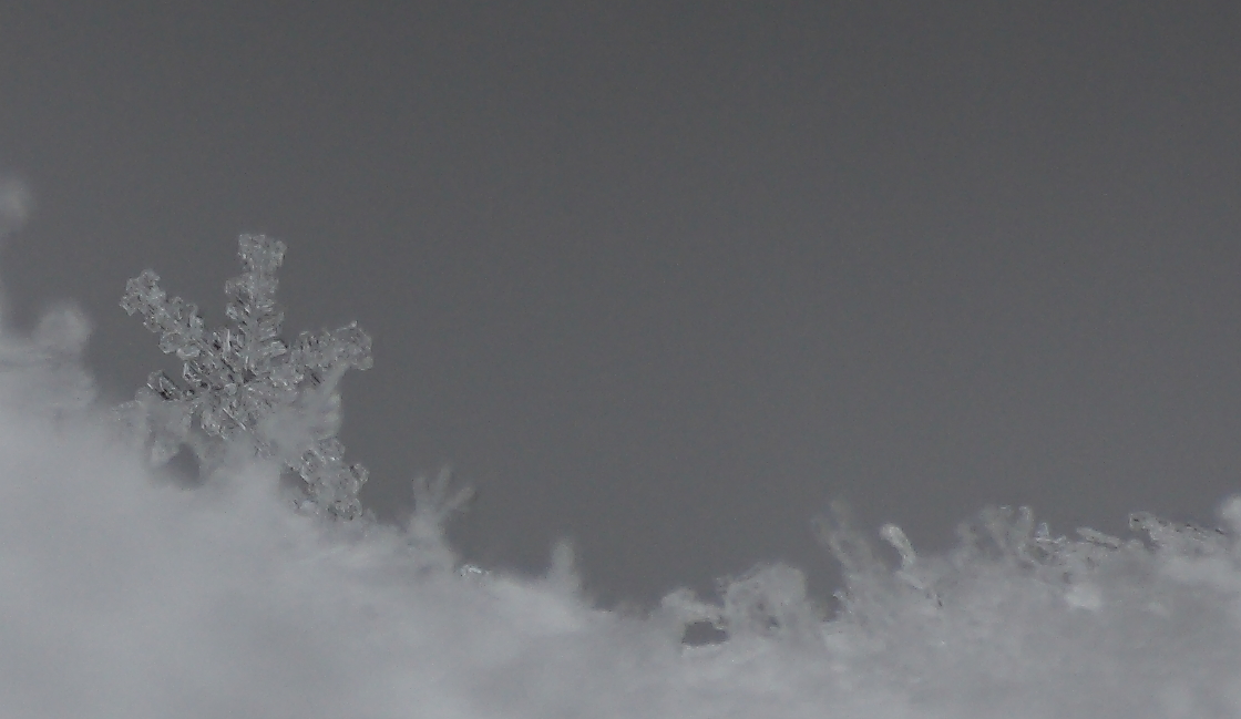 Schnee kann so schön sein