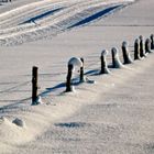 Schnee kennt keine Grenzen