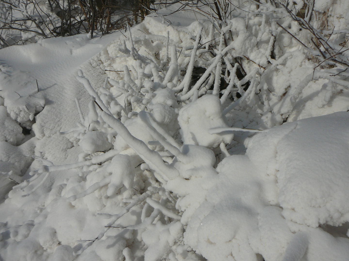 Schnee-Kobolde