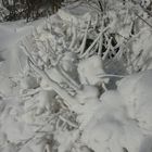 Schnee-Kobolde