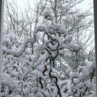 Schnee-Korkenzieher