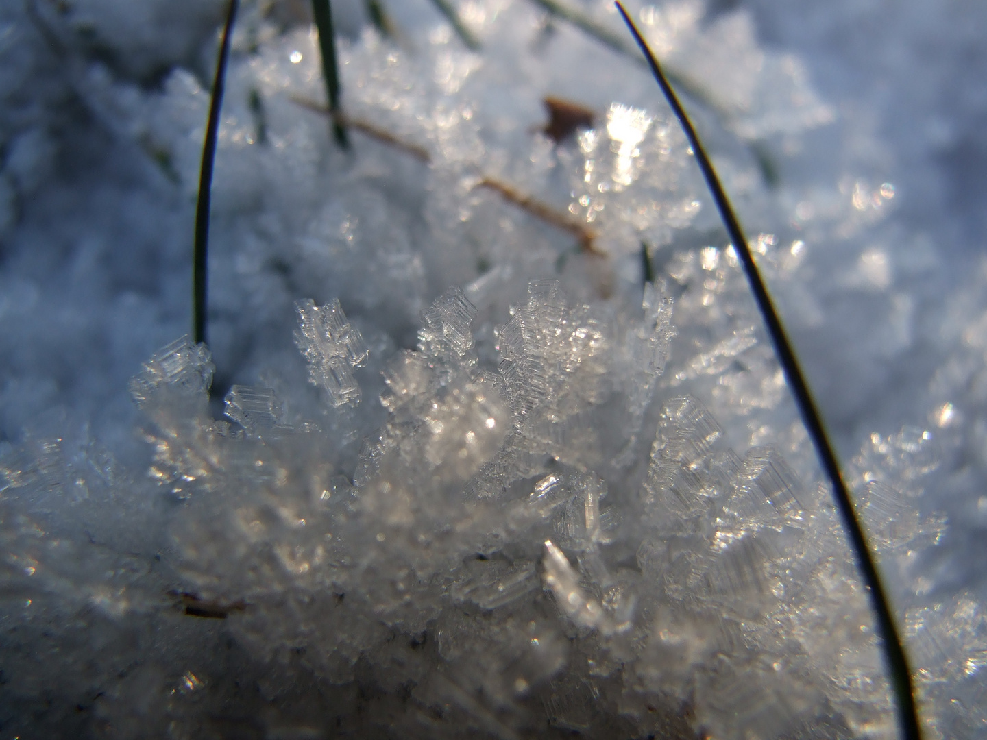 Schnee Kristalle auf einer Wiese am Tag