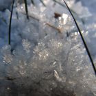 Schnee Kristalle auf einer Wiese am Tag