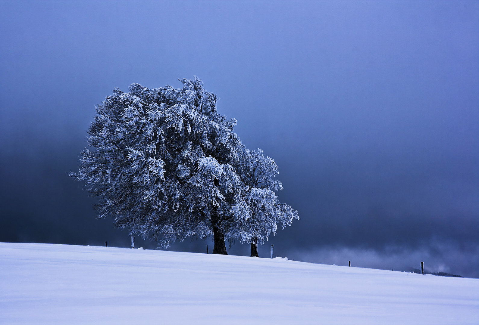 Schnee kündigt sich an