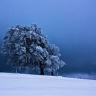 Schnee kündigt sich an