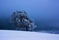 Schnee kündigt sich an