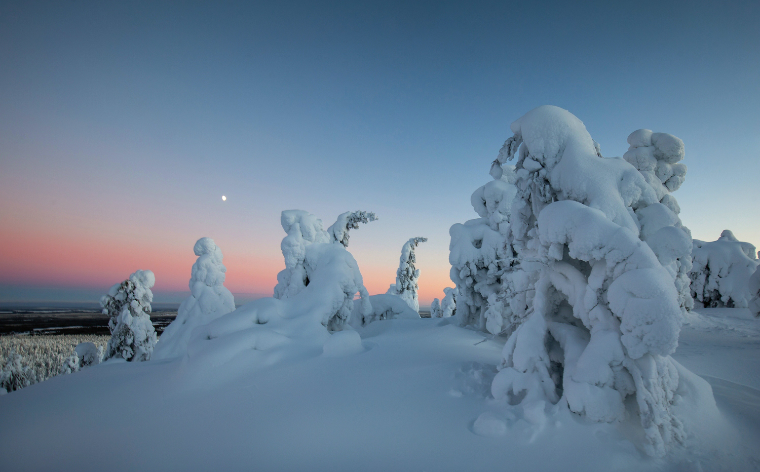 Schnee-Kunst