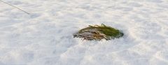 Schnee lag auf der grünen Flur