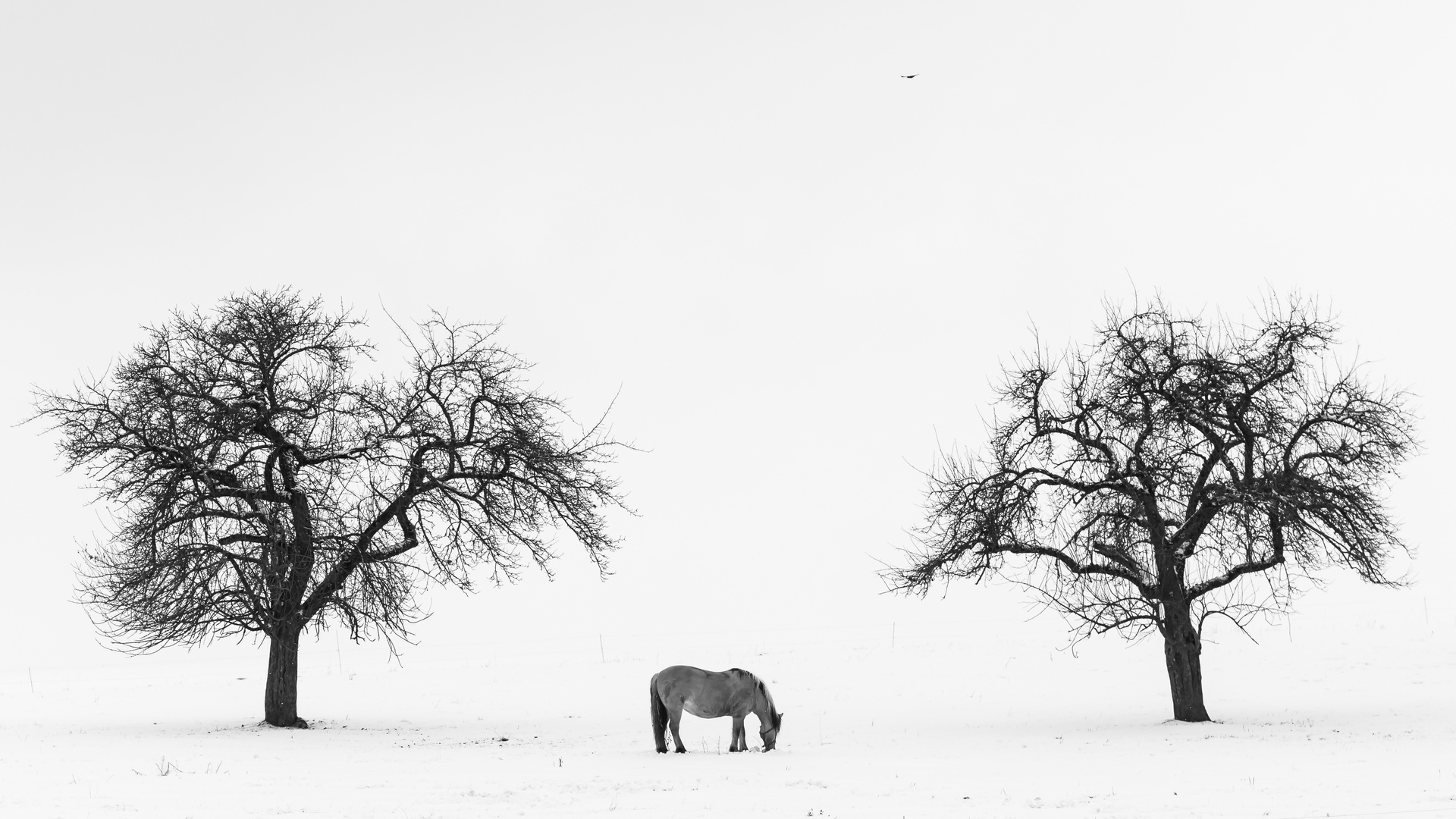 Schnee lag auf der grünen Flur....