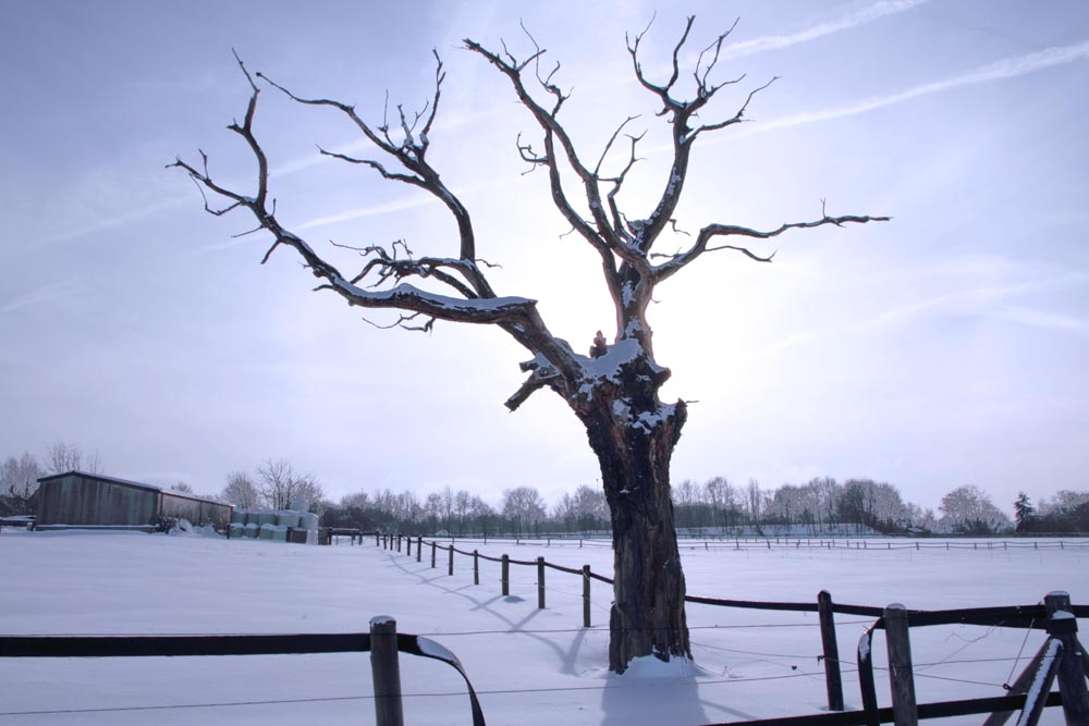 Schnee-Landschaft 1