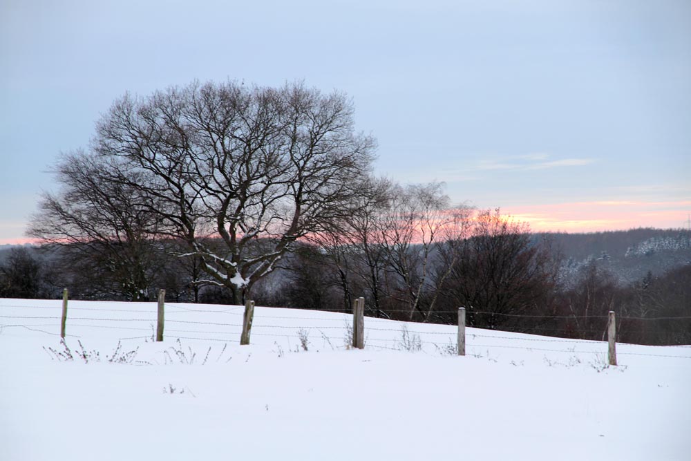 Schnee-Landschaft 2