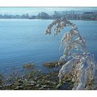 Schnee Landschaft