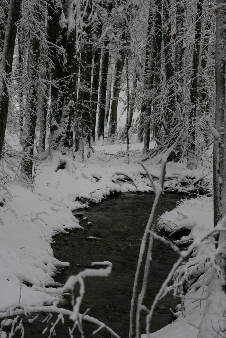 Schnee Landschaft