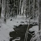 Schnee Landschaft