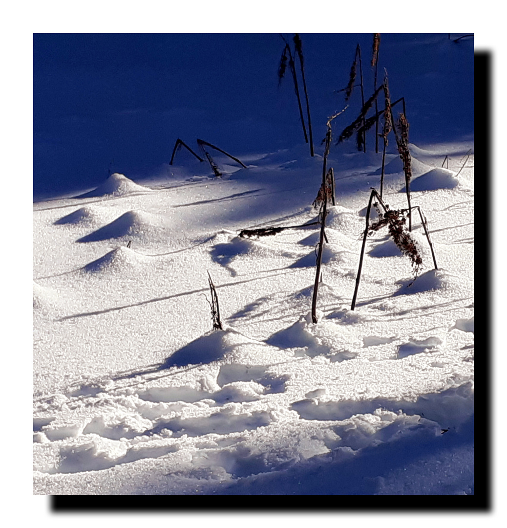 Schnee & Licht