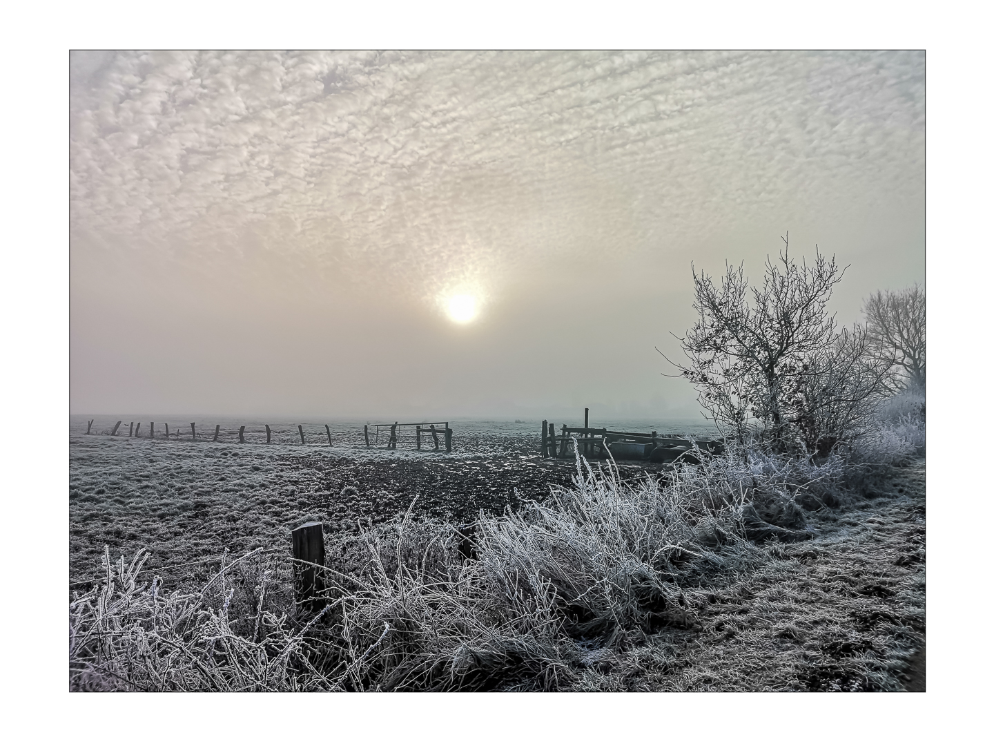 SCHNEE LIEGT IN DER LUFT