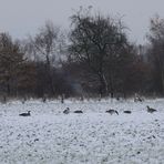 Schnee liegt in der Luft