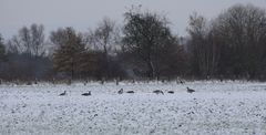 Schnee liegt in der Luft