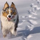 Schnee macht Spaß!