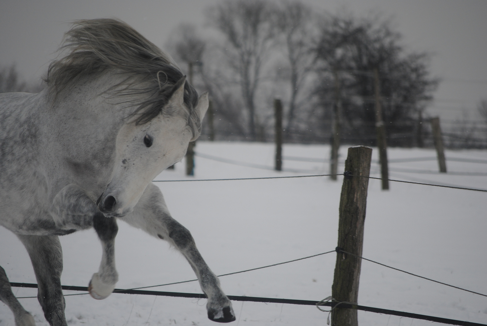 Schnee macht Spaß